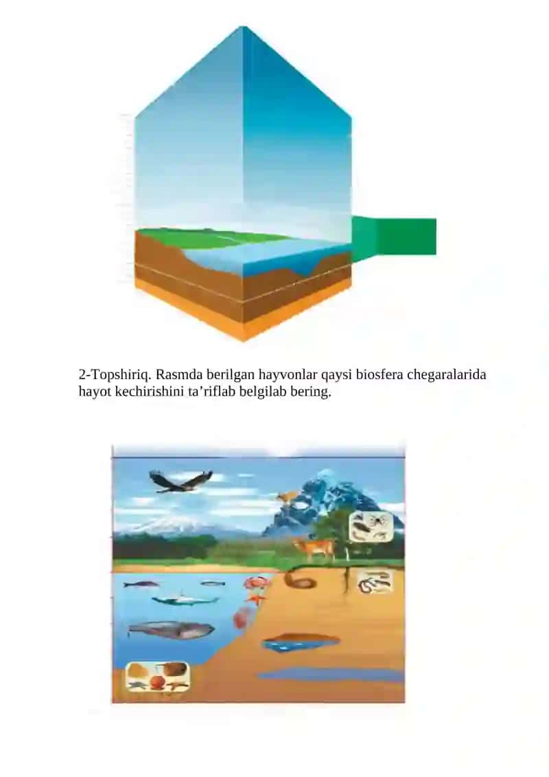 BIOSFERANING TARKIBI 4