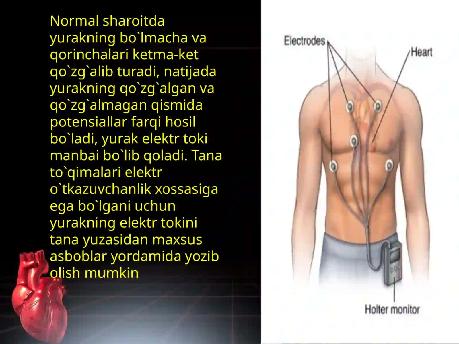 Elektrokardiografiya 4