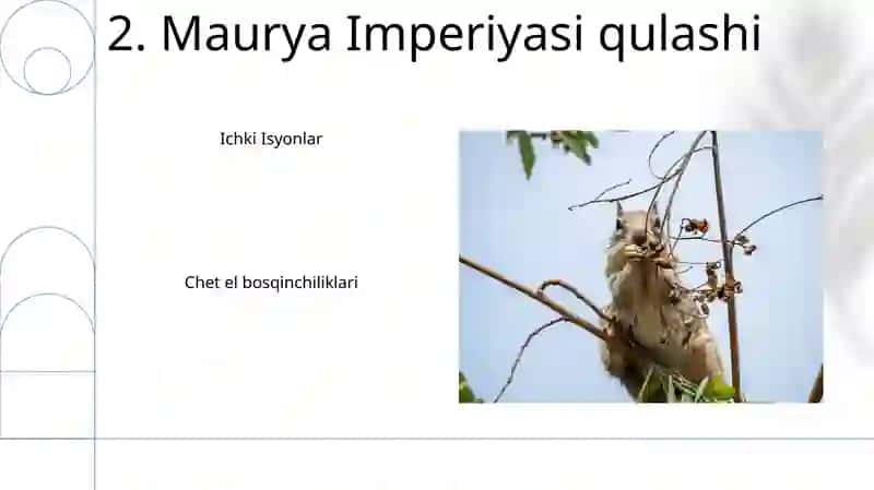 Mauryalar va guptalar 4