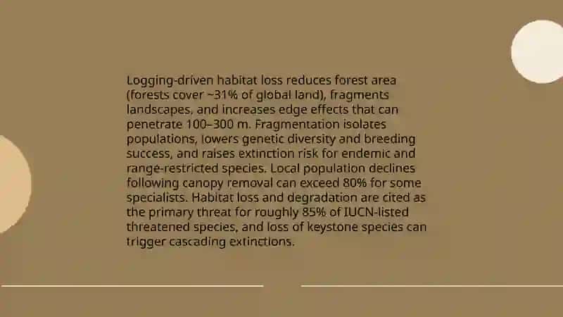 Environment Impact of Logging 4