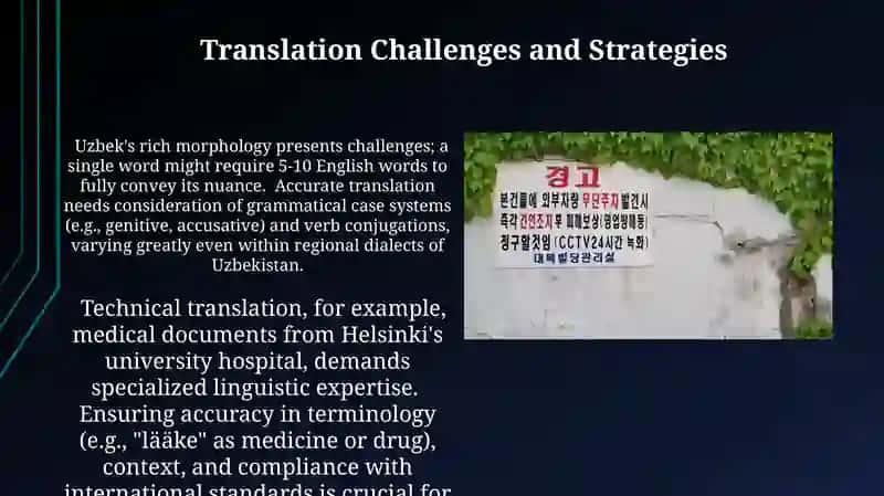 Translation Process and Challenges 4