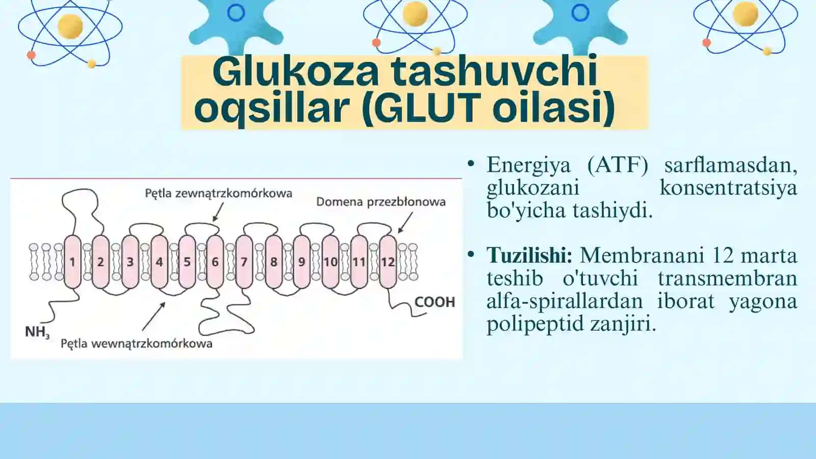 Glikogen kasalliklari (glikogenoz va aglikogenozlar) 4