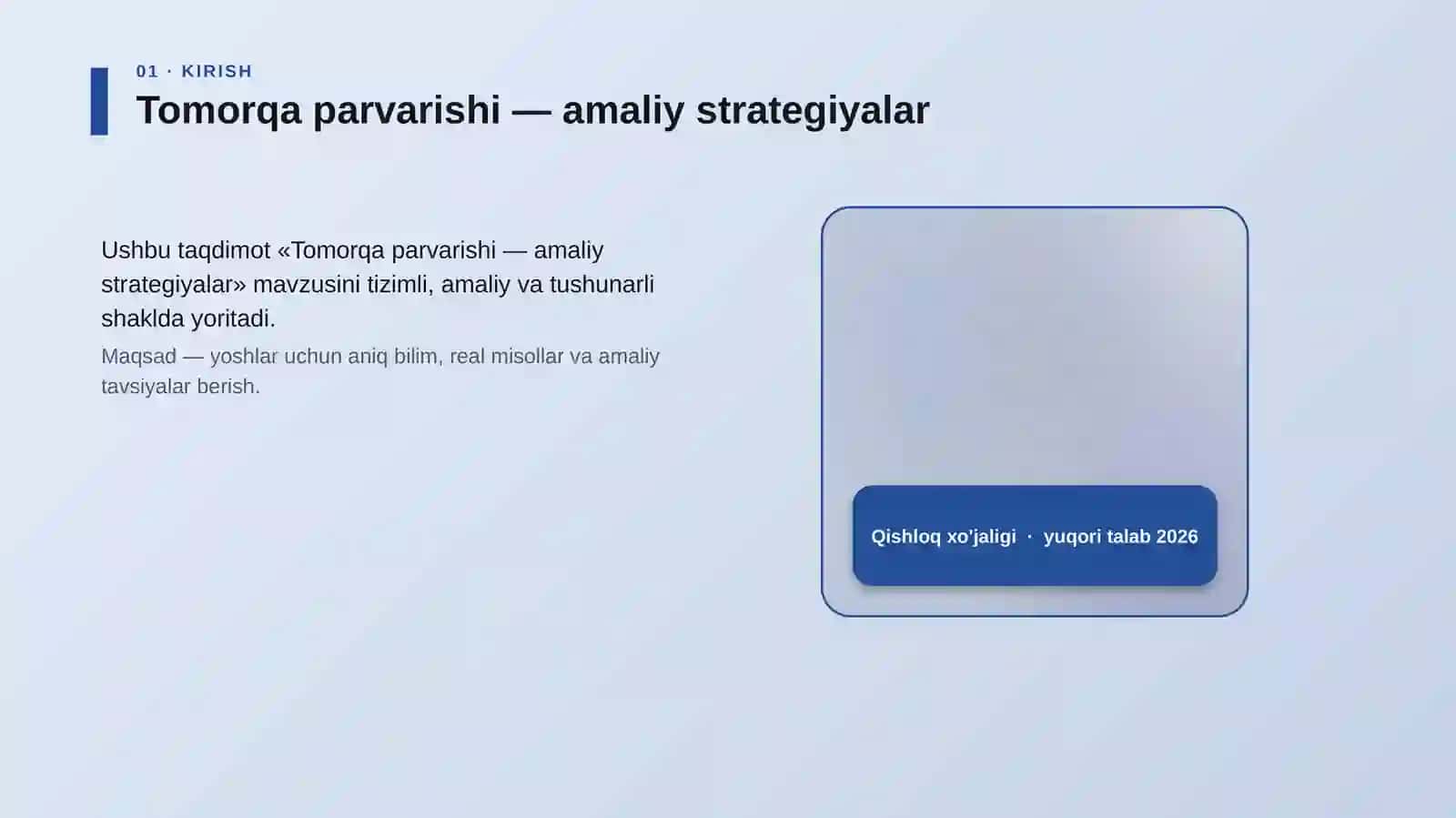 Tomorqa parvarishi — amaliy strategiyalar 4
