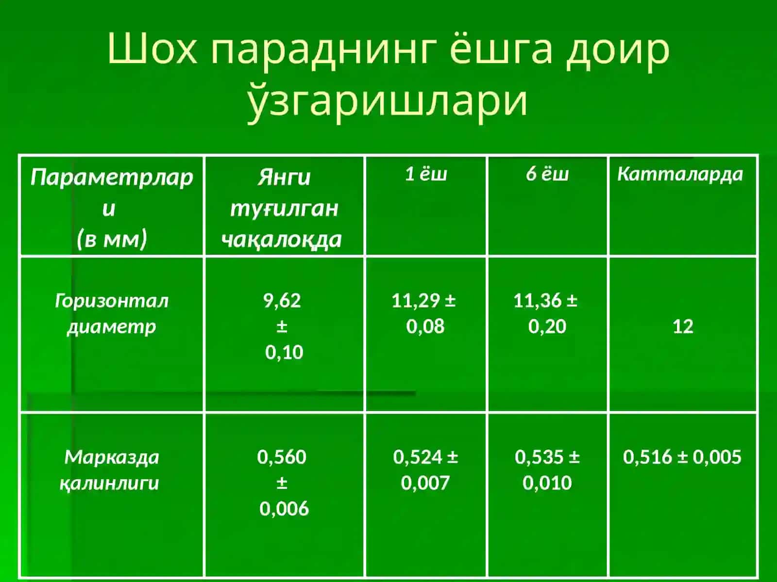 Шохпарда анатомияси 4