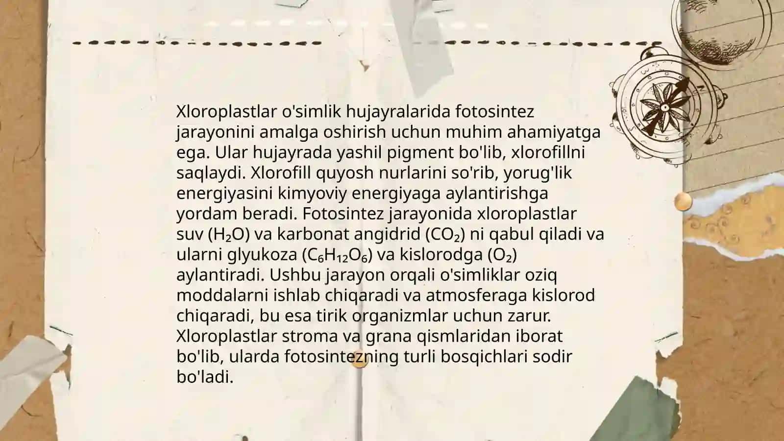Xloroplastlar 4