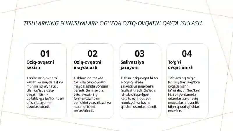 Tishlarning xususiy anatomiyasi 4