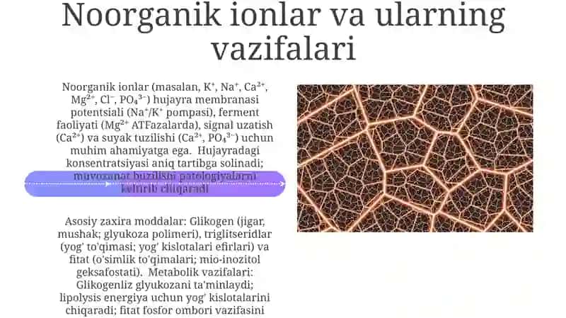 Hujayraning kimyoviy tarkibi 4
