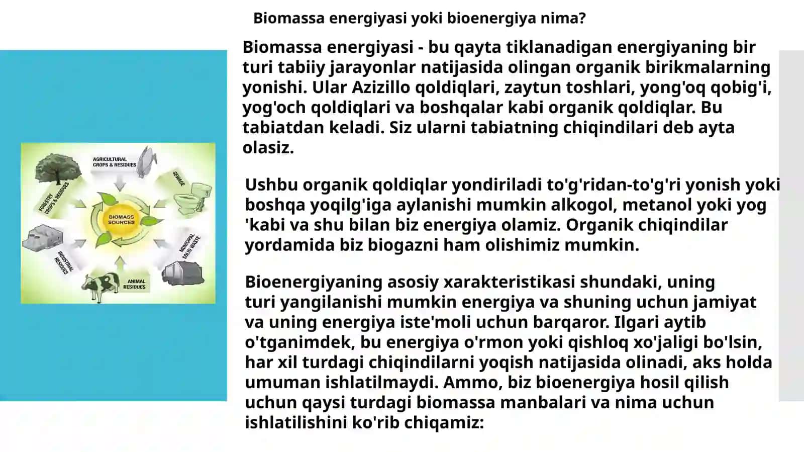 Biomassahaqidatushuncha 4