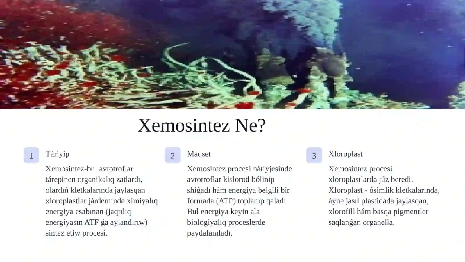 Xemosintez procesi 4