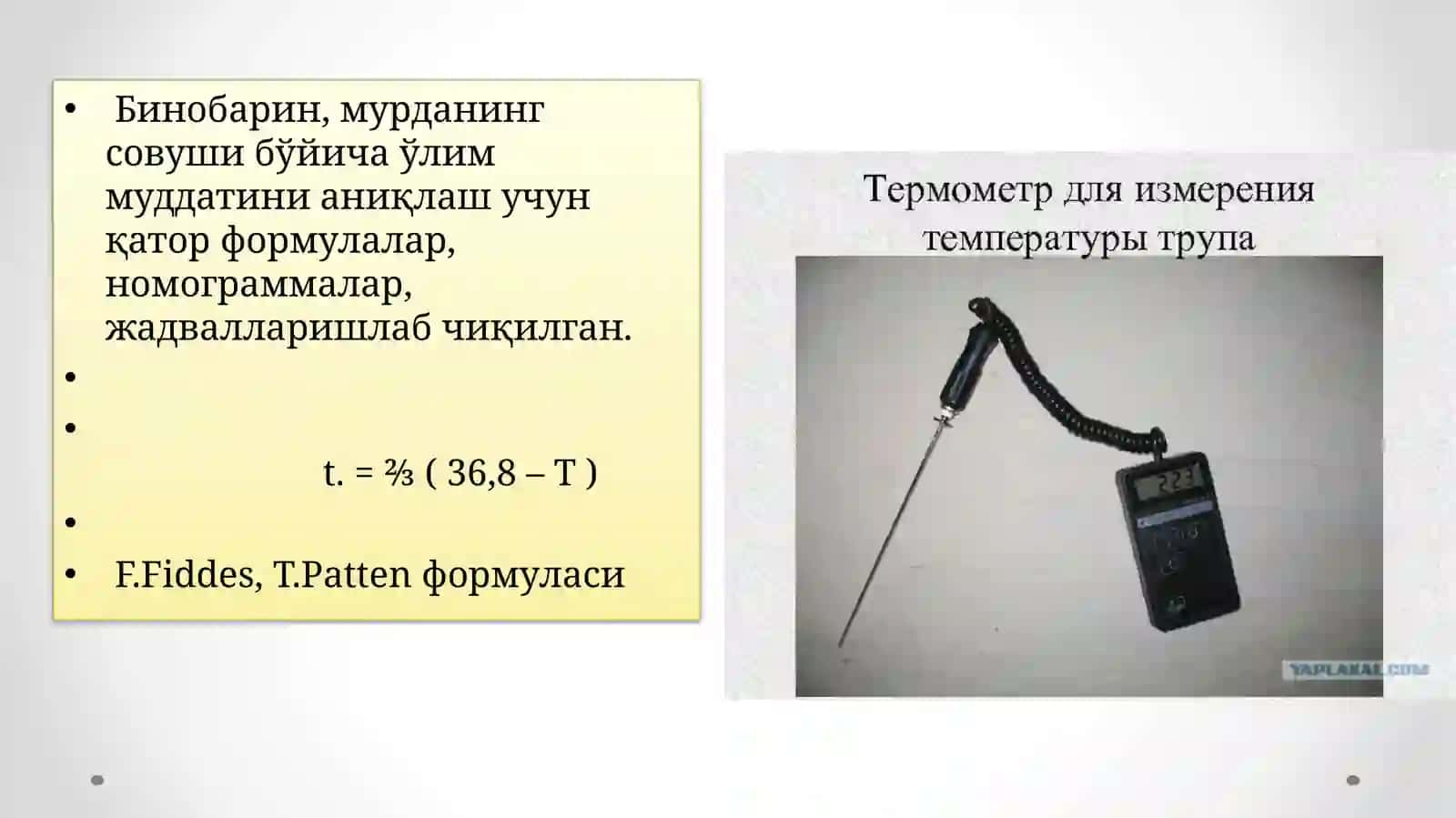 o’lim vaqtini aniqlash 4