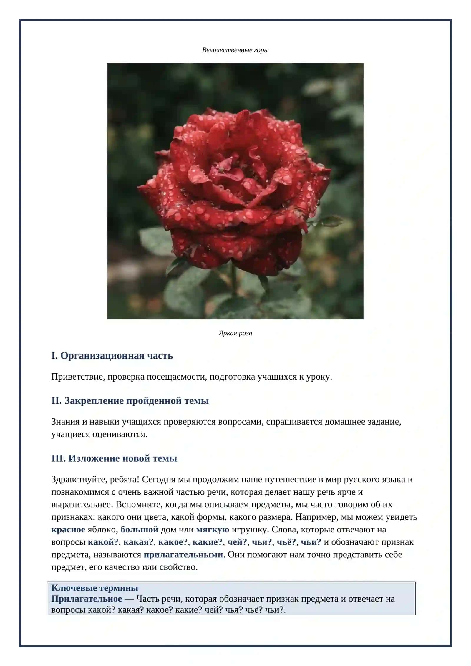 Lesson on Прилогательное 4