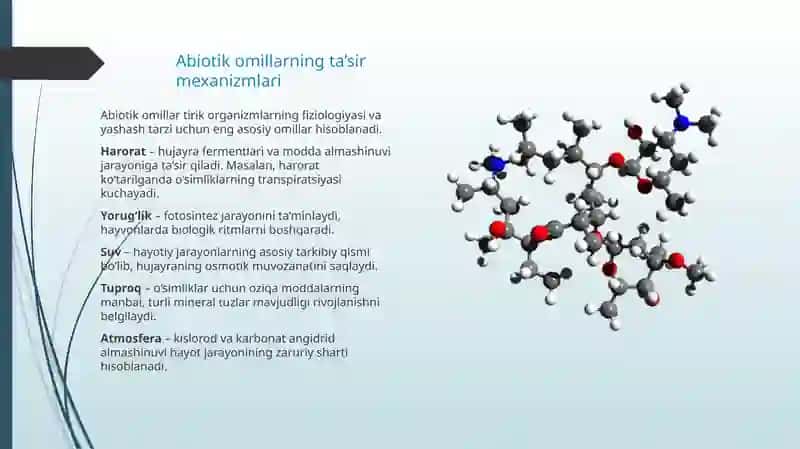 Turli ekologik omillarning tirik organizmlarga ta’sir etish mexanizmlari 4