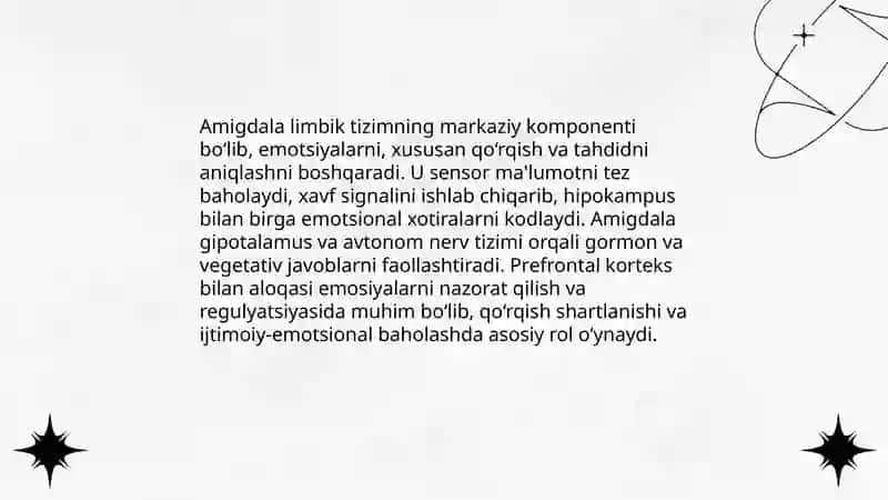 Limbik tizim faoliyati 4