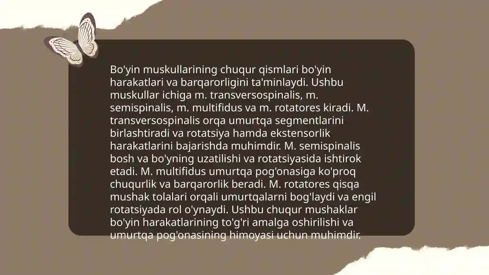 Bo'yin muskullari 4