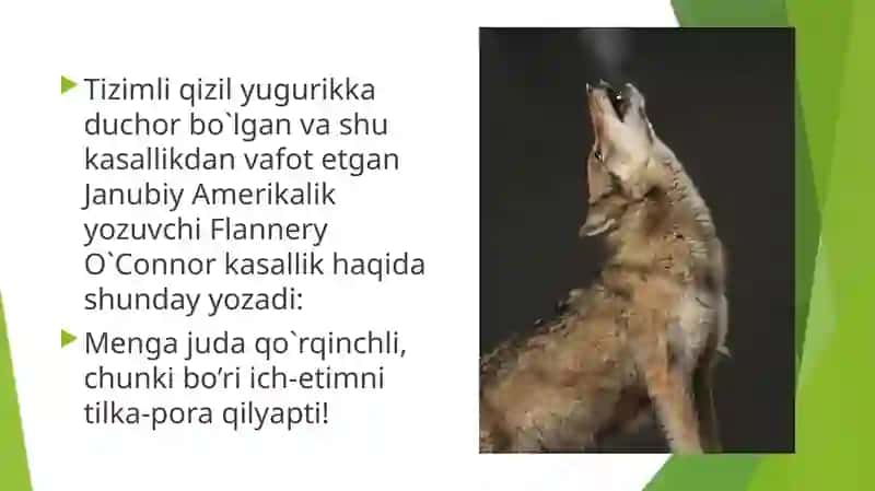 Tizimli qizilyugurik 4