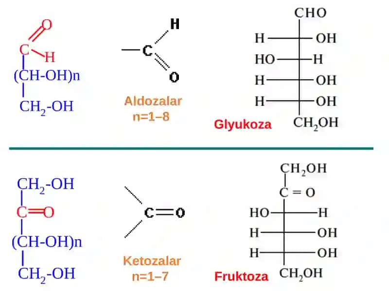Uglevodlarning sinflanishi 4