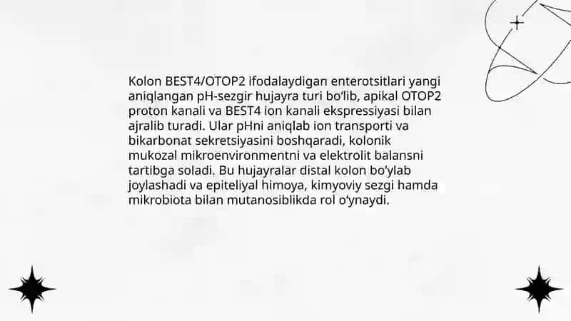 Sitologiya 4