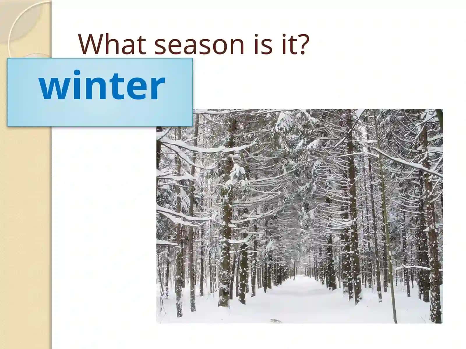 "Seasons and Weather" 4