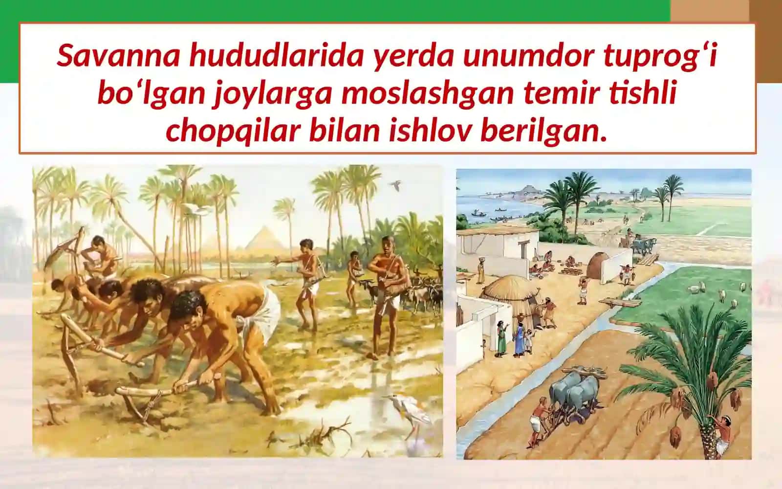 Afrika xalqlari o‘rta asrlarda 4