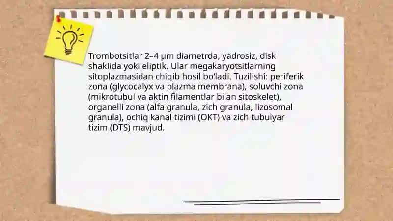 Trombotsitlar 4