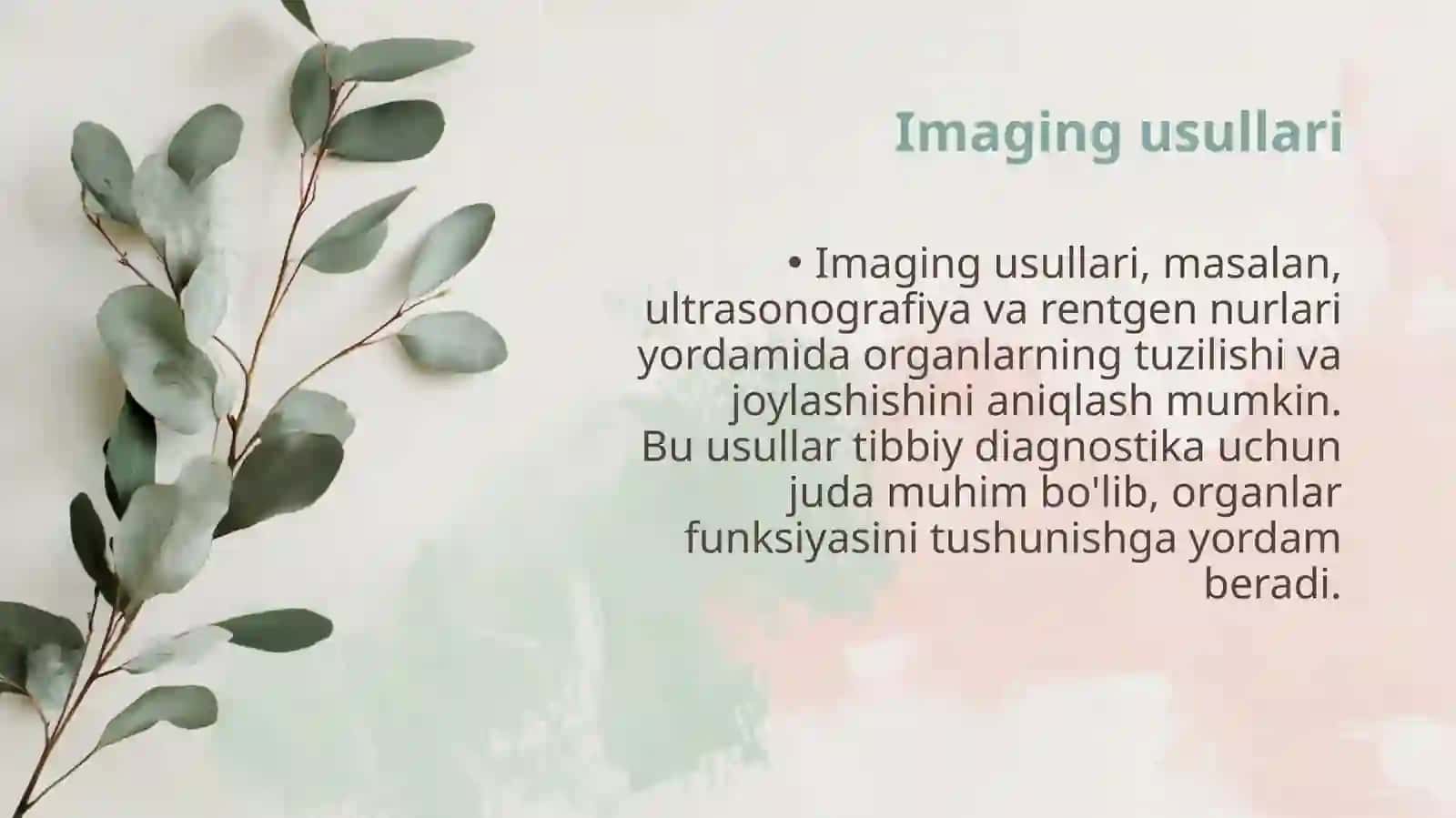 Anatomiyani o'rganish usullari 4