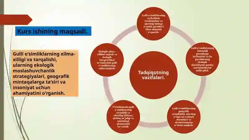 GULLI O’SIMLIKLARNING XILMA-XILLIGI VA TARQALISHI 4
