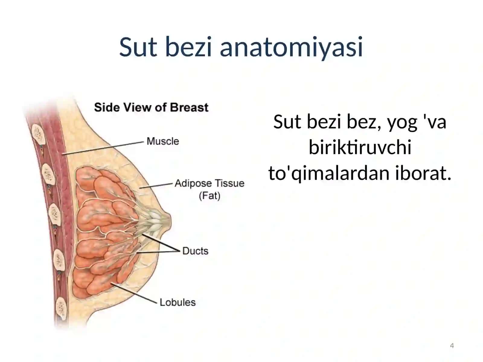 Sut bez saratoni 4