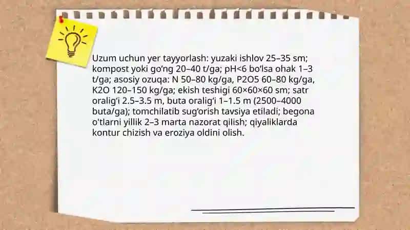 Uzumchilikning asosiy yo'nalishi 4