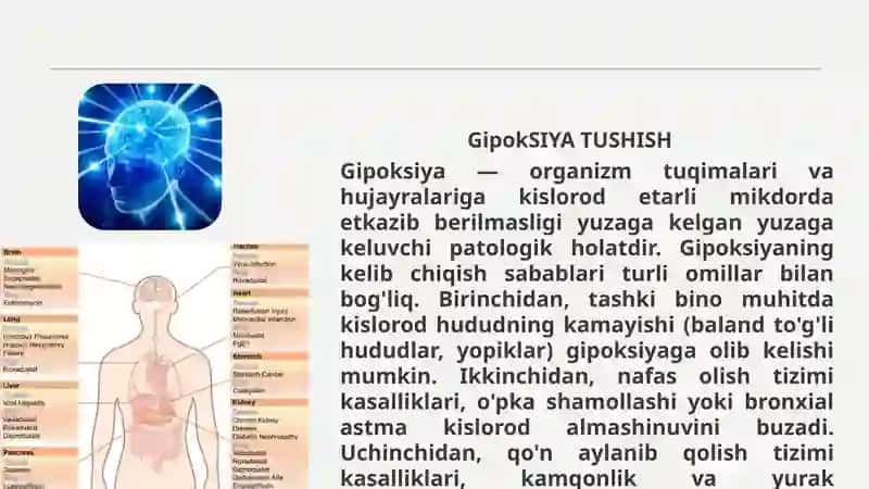 Gipoksiya va uning turlari 4