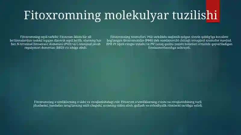 Fitoxrom 4