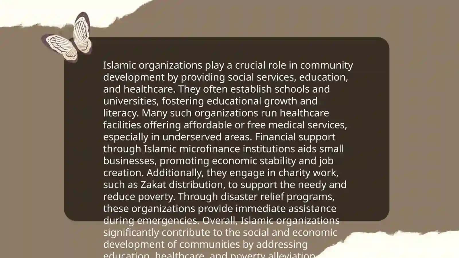 Islamic organizations essay 4