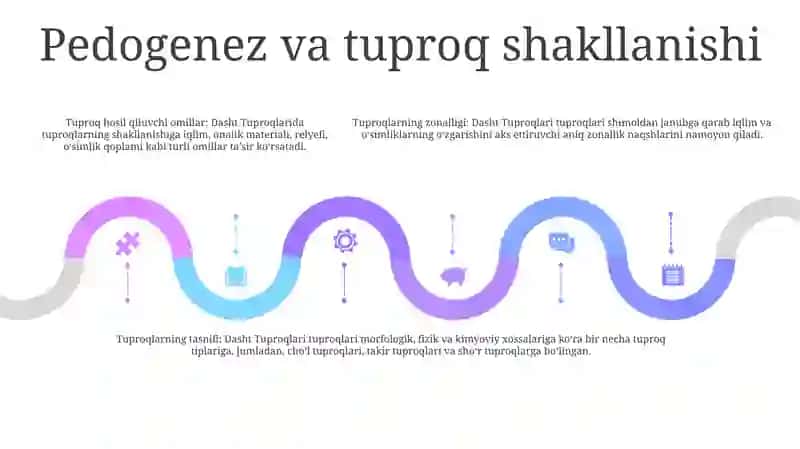 Dasht Tuproqlari 4