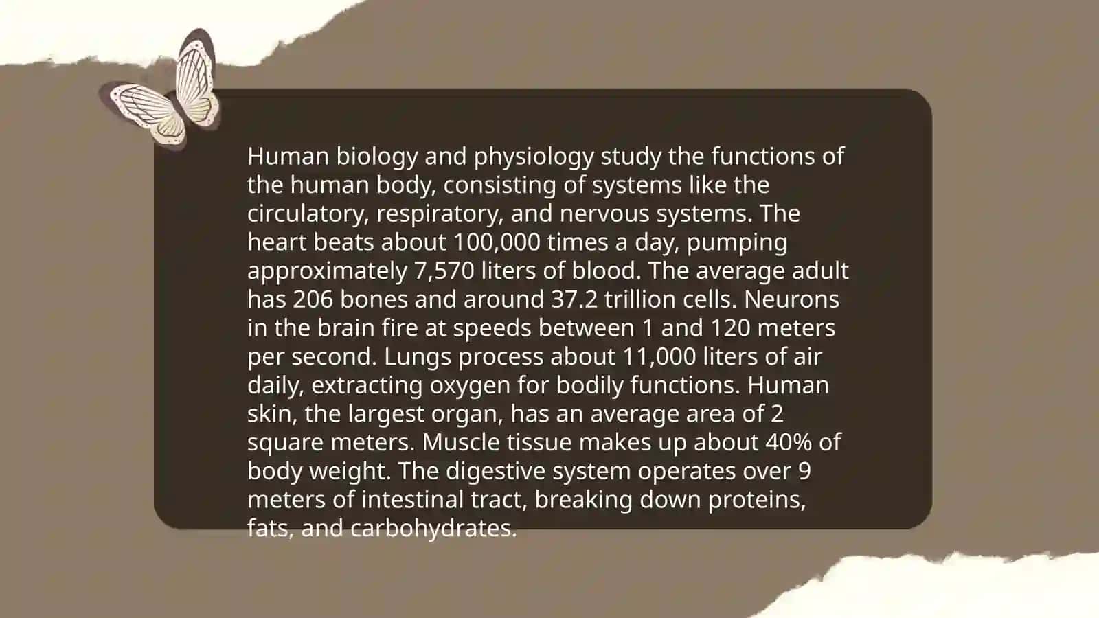 The human animal 4