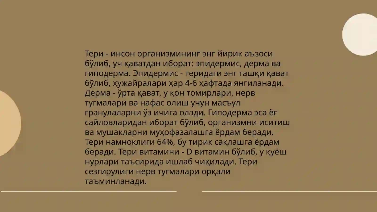 Терининг асосий вазифалари 4