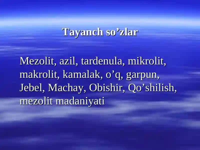 Mezolit 4