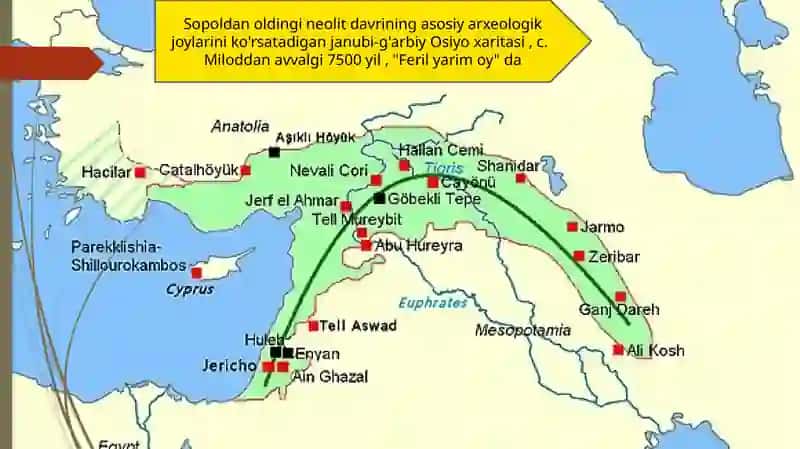 Neolit inqilobi 4