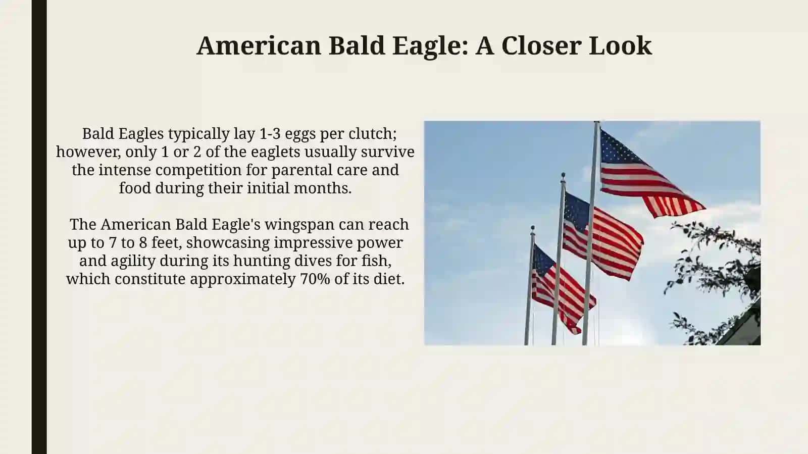 American symbols 4