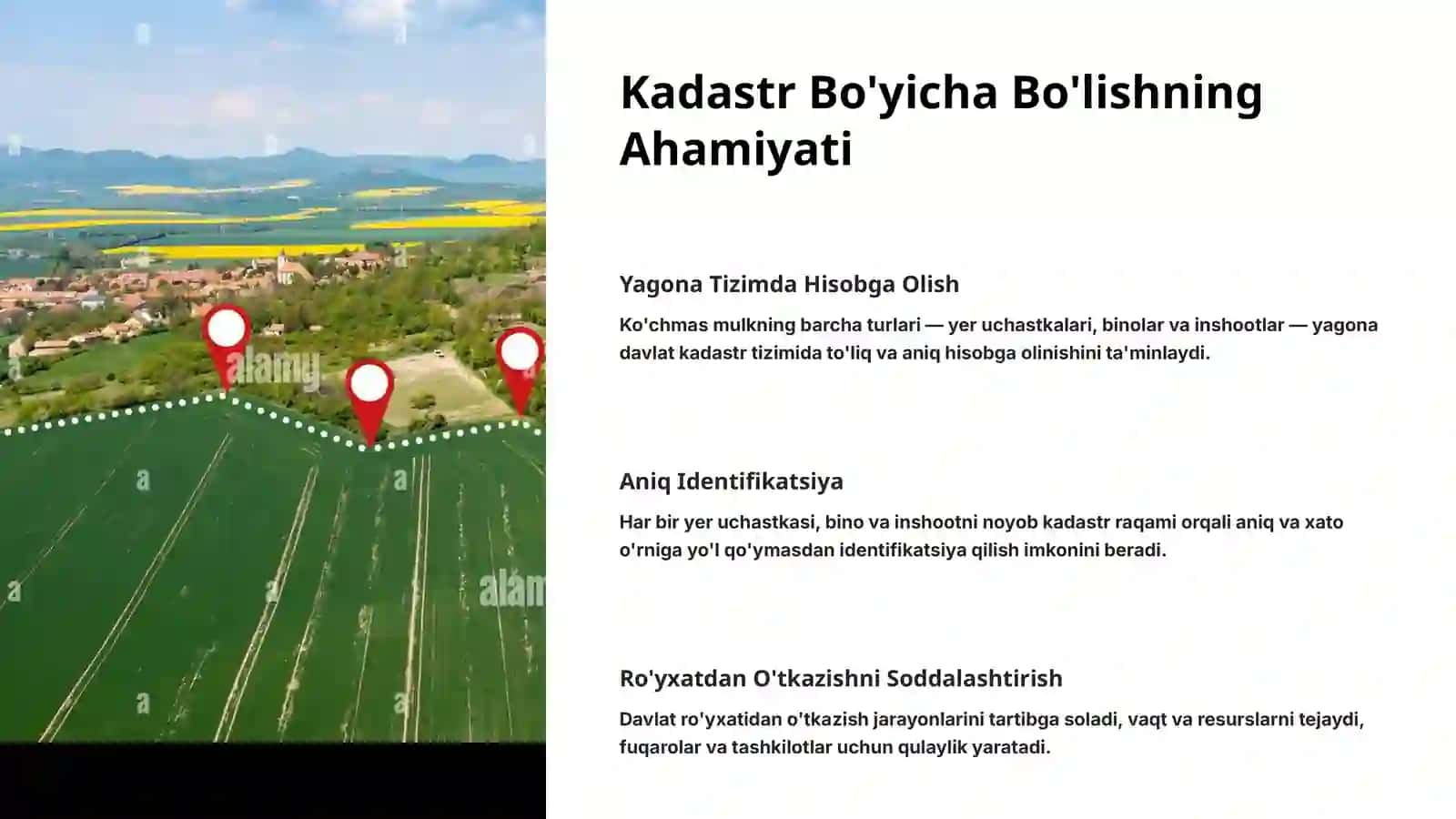 O'zbekiston Respublikasi vazirlar mahkamasi 2001-yil 31-dekabrda nizomni tasdiqlash haqida 4
