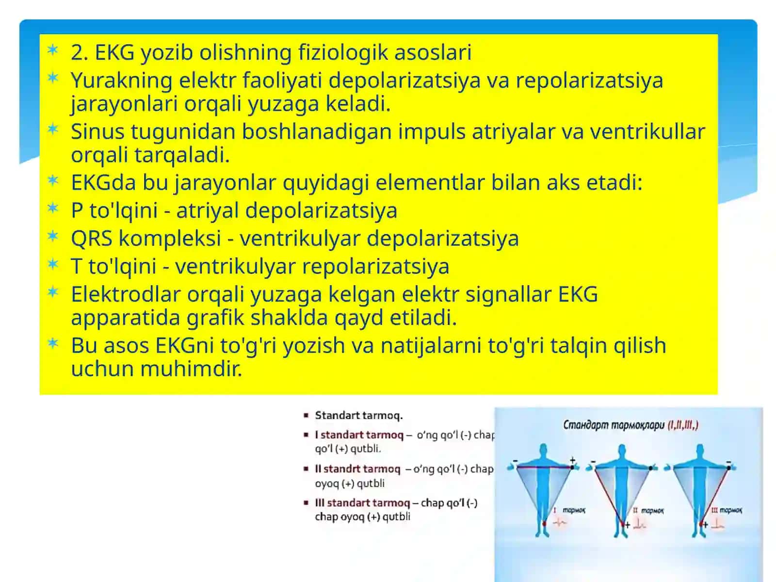 EKG. EKGNI YOZIBOLISH 4