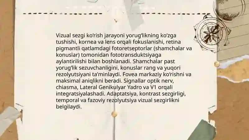Sezgi va sezuvchanlik 4