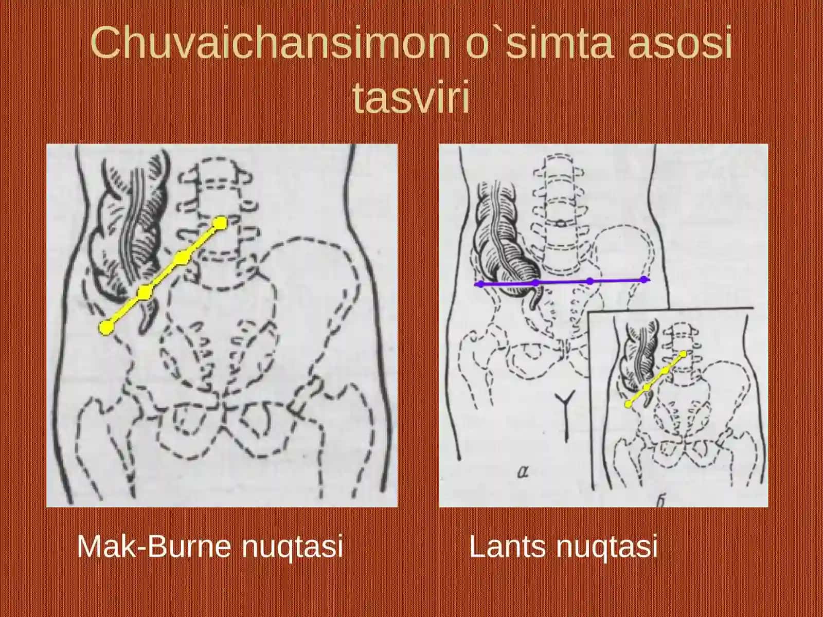 Qorinold-yondevorining klinika anatomiyasi 4