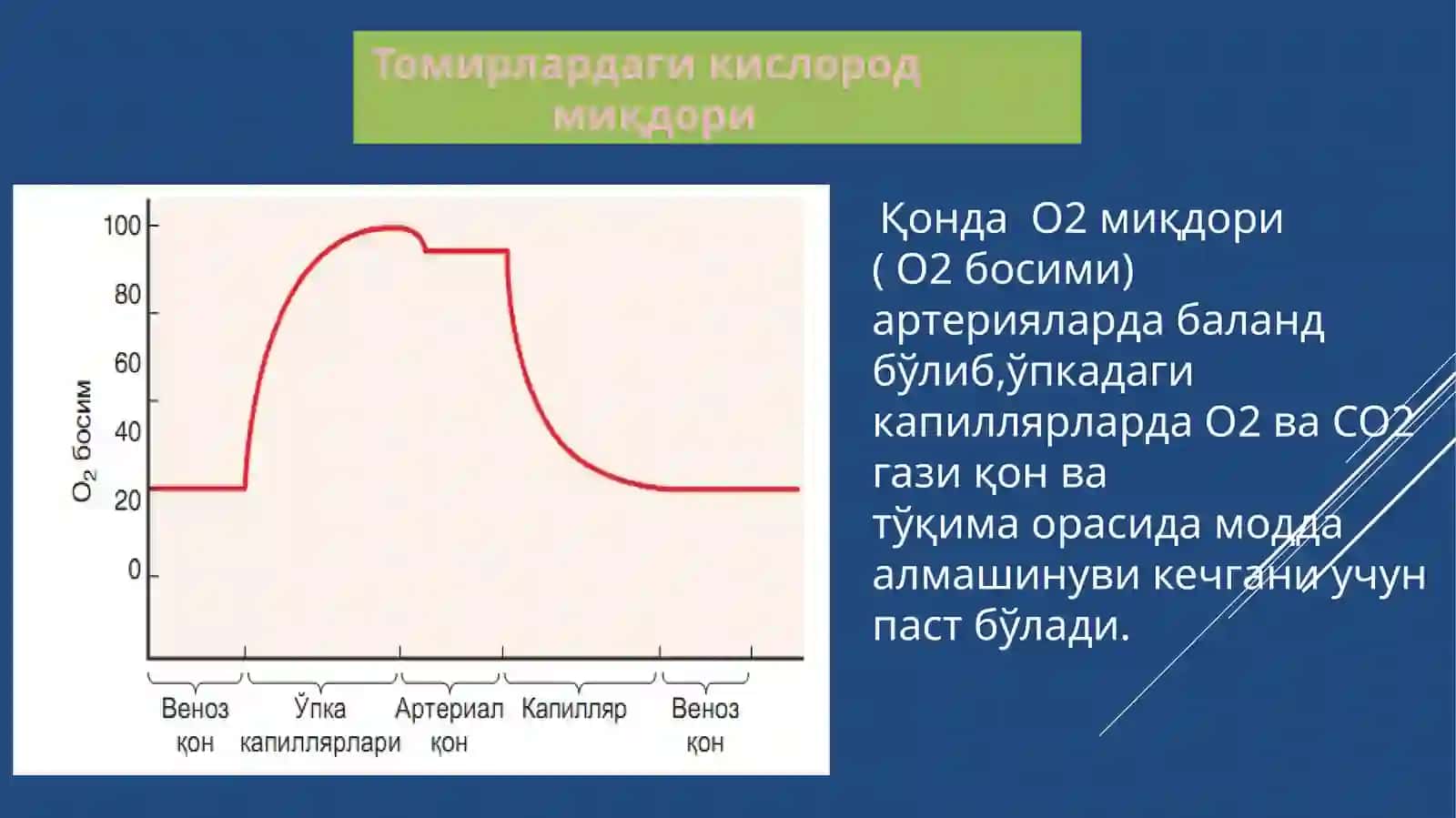 ҚОН ВА ҚОН ЯРАТИЛИШИ 4
