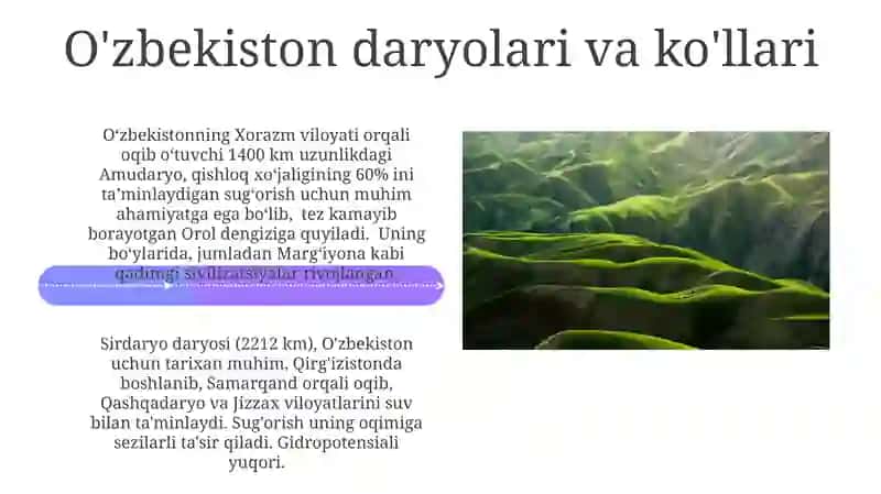 O'zbekiston tabiati 4