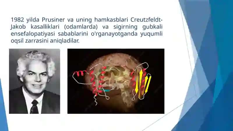 Prionlar haqida 4