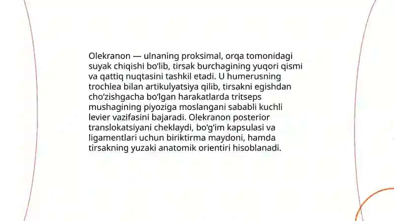 Tirsak suyagi 4