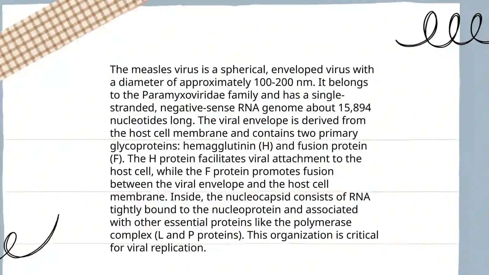 Measles 4
