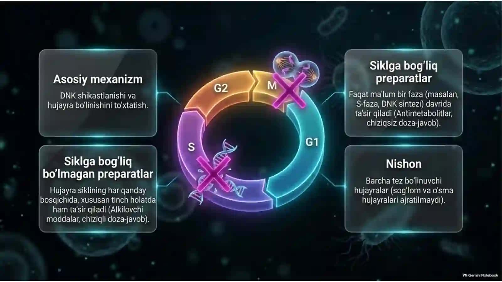 O‘smalarni dori bilan davolash | Kimyoterapiya, target va immunoterapiya — 15 slayd 4