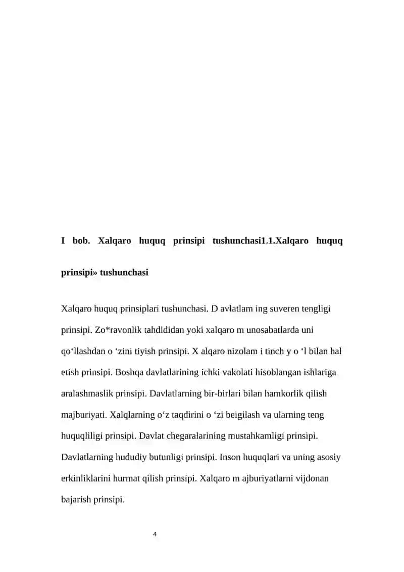 Xalqaro huquq prinsiplari 4