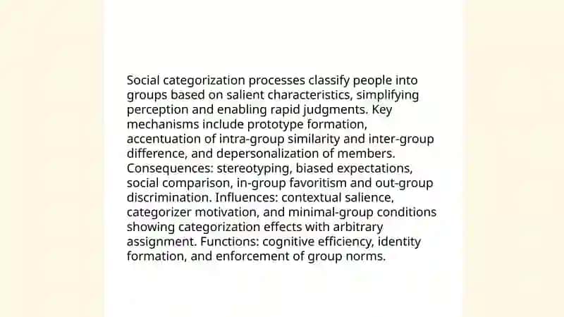 Social identity 4