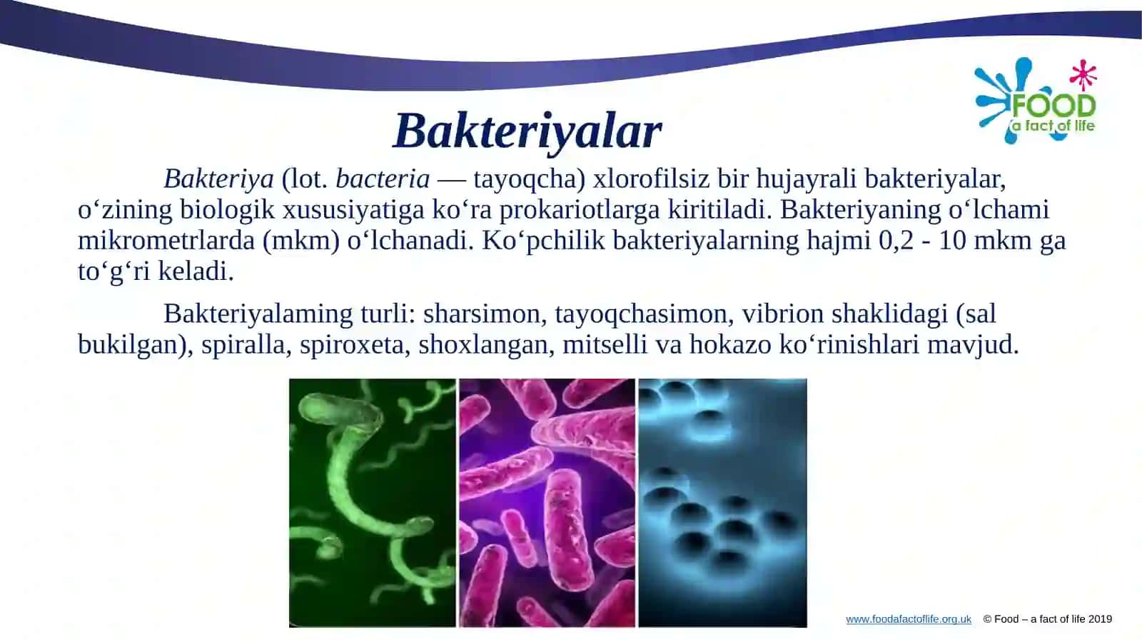 Mikroorganizmlar biosintezi 4